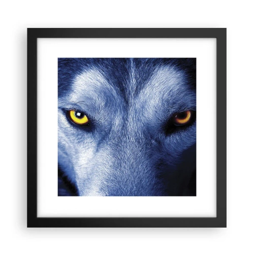 Plakat i sort ramme - Et hypnotiserende udseende - 30x30 cm