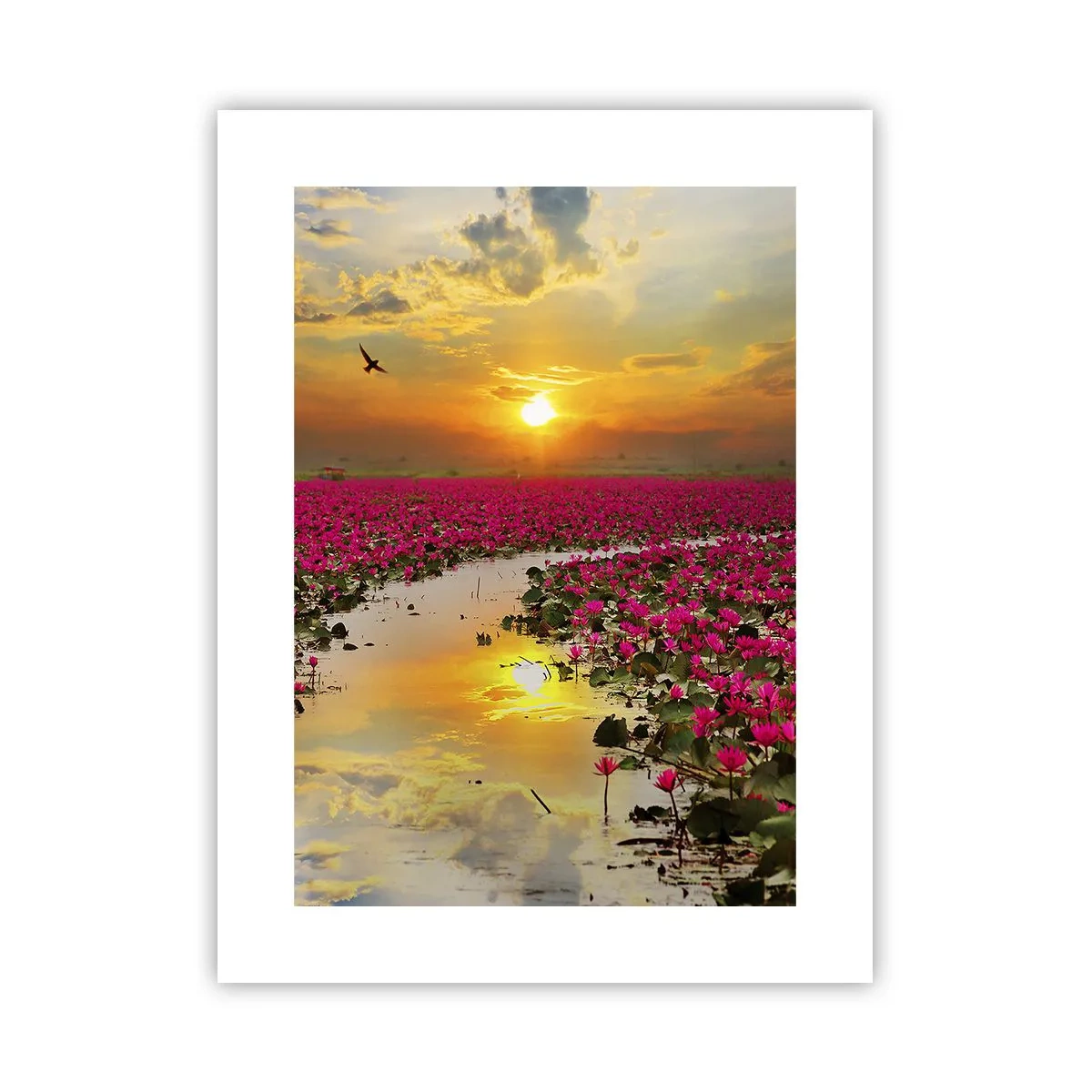 Plakat - Søens hemmelige liv - 30x40 cm