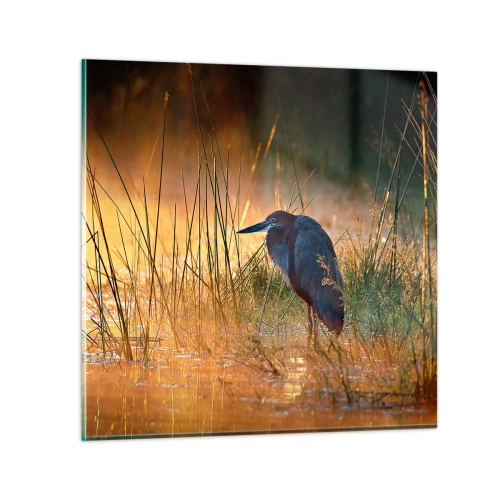 Billede på glas - Giv mig en chance med disse billeder - 50x50 cm