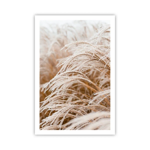 Plakat - Bøjer sig for efterårssolen - 61x91 cm