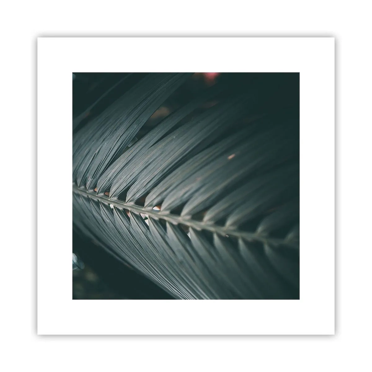 Plakat - Naturens præcision - 30x30 cm