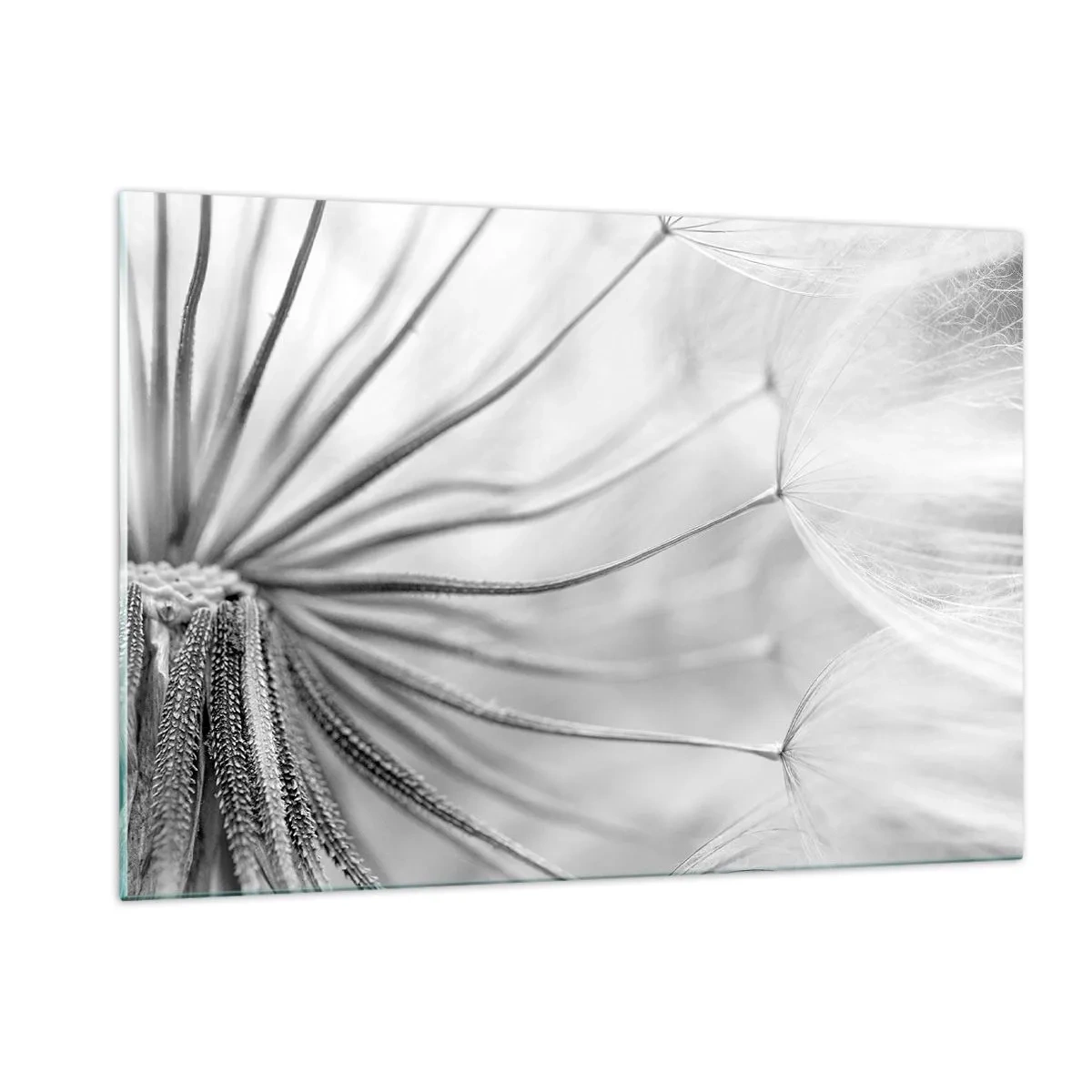 Billede på glas - Blæsende drager - 120x80 cm