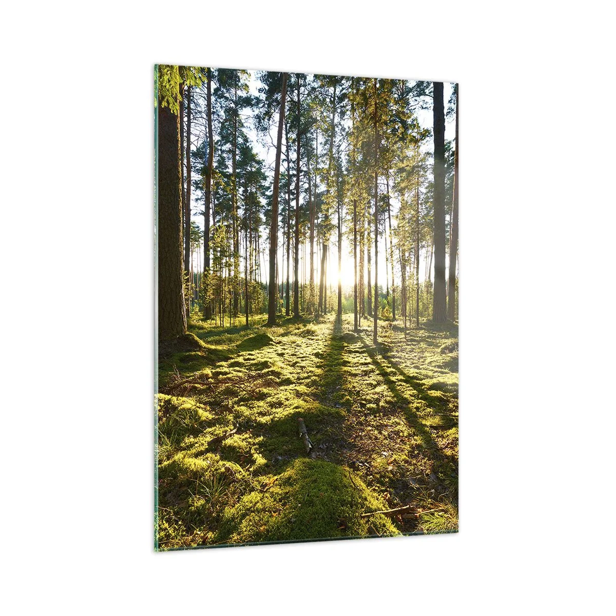 Billede på glas - ...Bag de syv skove - 50x70 cm