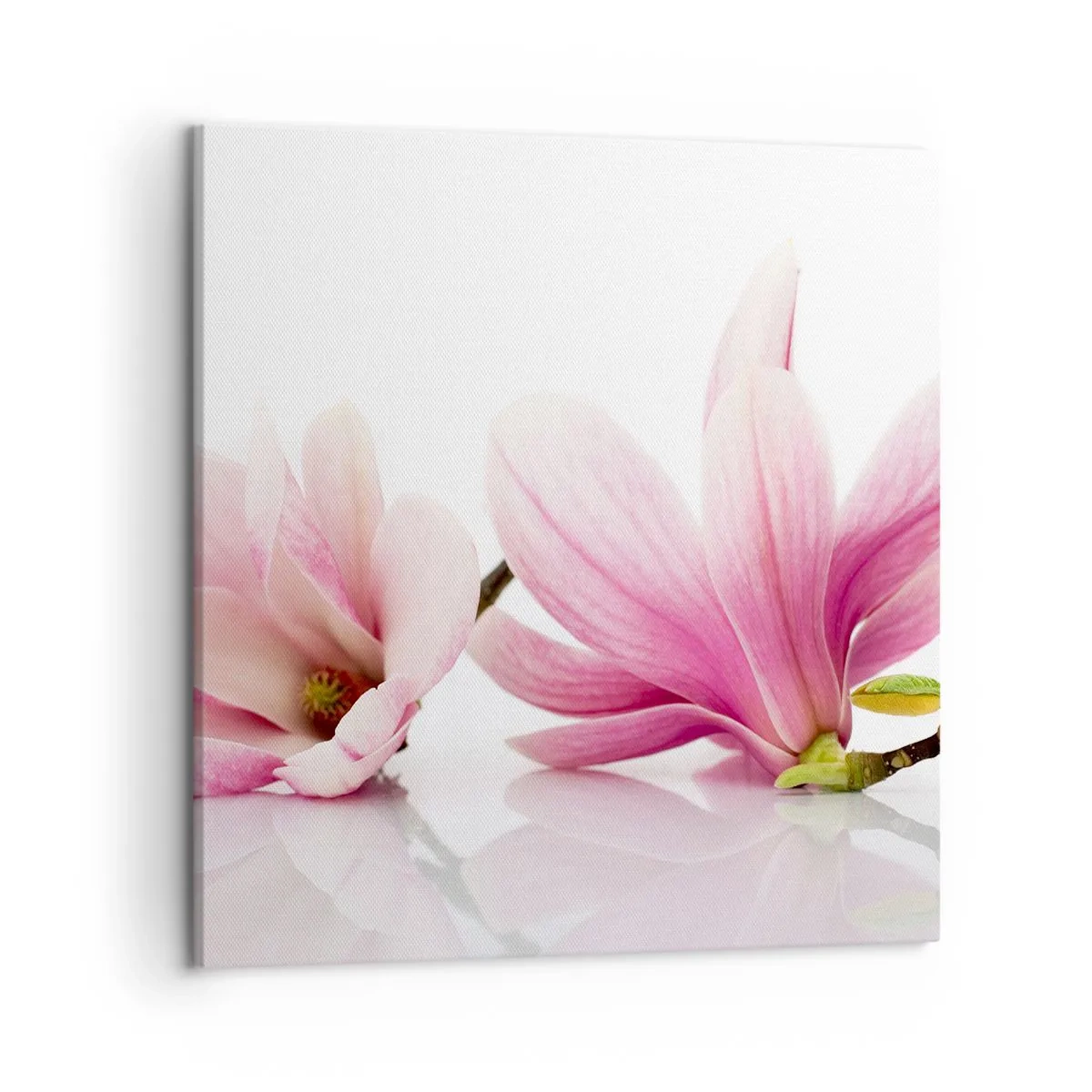 Lærredstryk - Billede på lærred - Blød som et åndedrag af forår - 50x50 cm