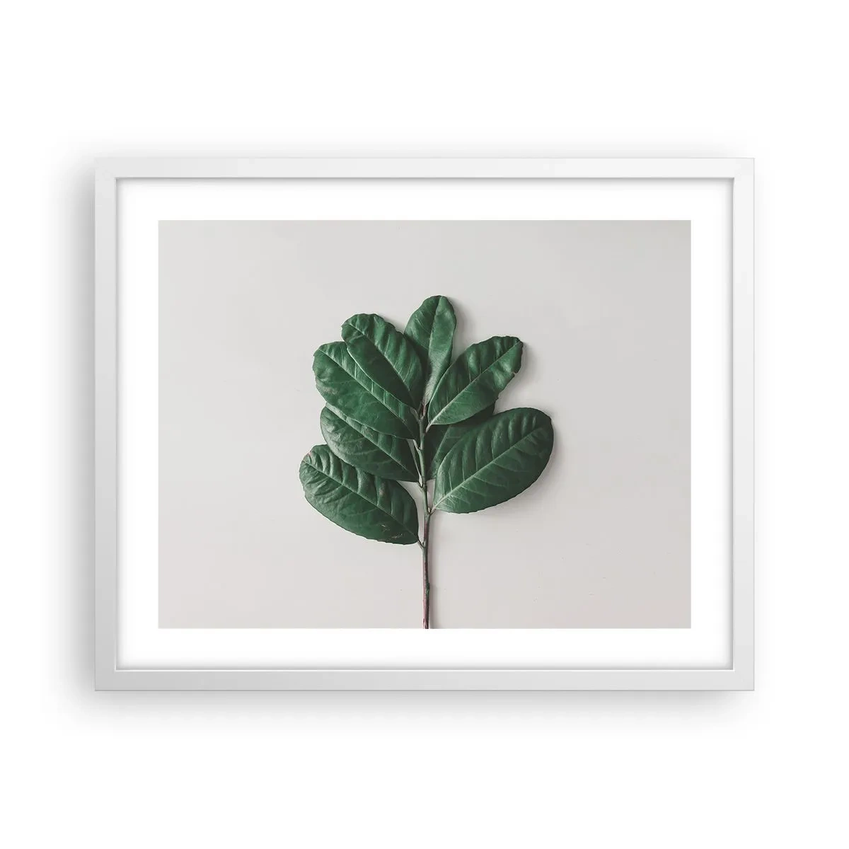 Plakat i hvid ramme - Tegning af selve naturen - 50x40 cm