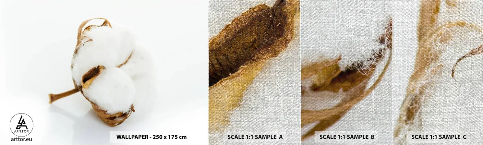 Prøve Fototapet Premium Canvas - Blød af natur - Bomuld, Minimalistisk, Blomst - 100x30 cm