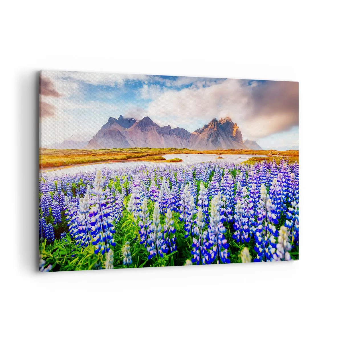 Lærredstryk - Billede på lærred - Styrke og strenghed ved siden af blidhed - 120x80 cm