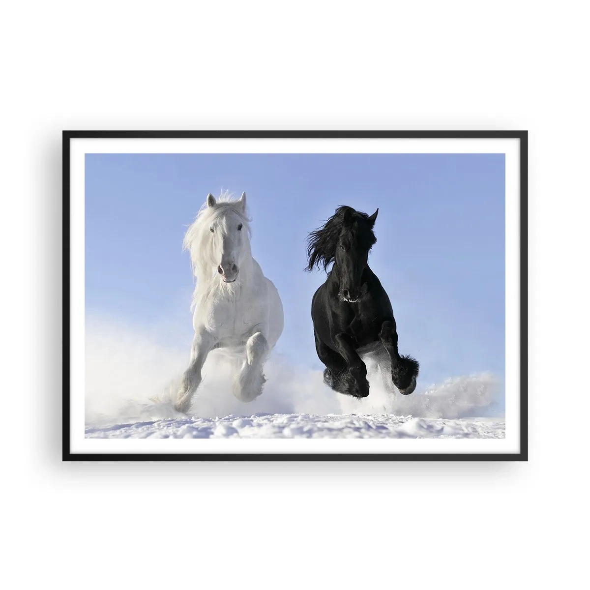 Plakat i sort ramme - Sort og hvid galop - 100x70 cm
