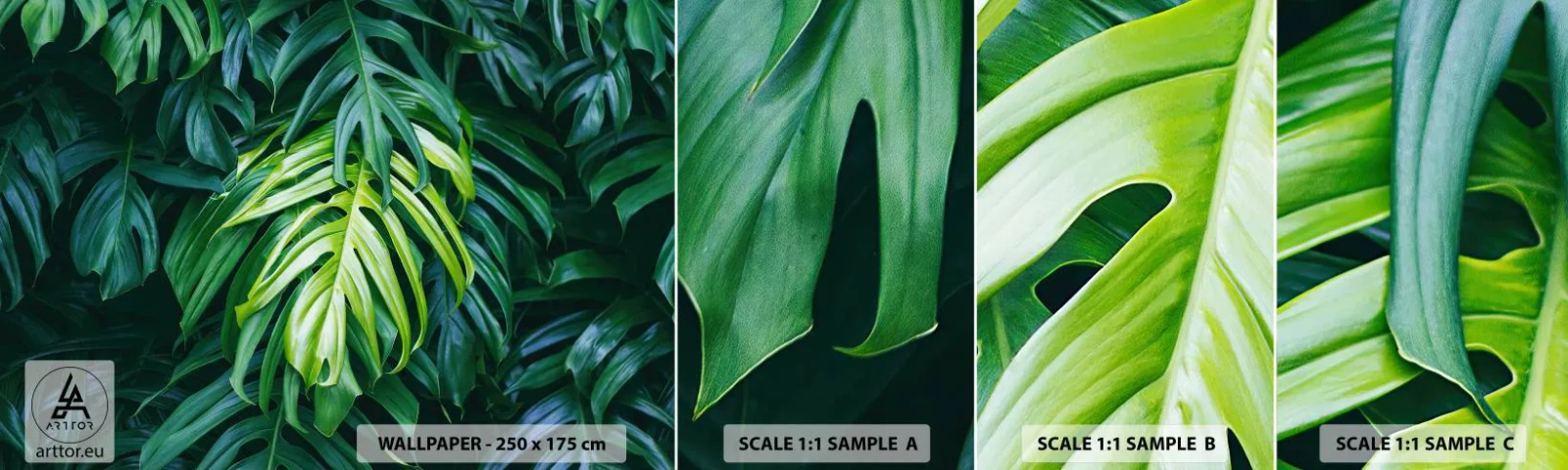 Prøve Fototapet Selvklæbende Deluxe Sticker - Fordyb dig i friskhed - Tropisk plante, Monstera blad, Natur - 100x30 cm
