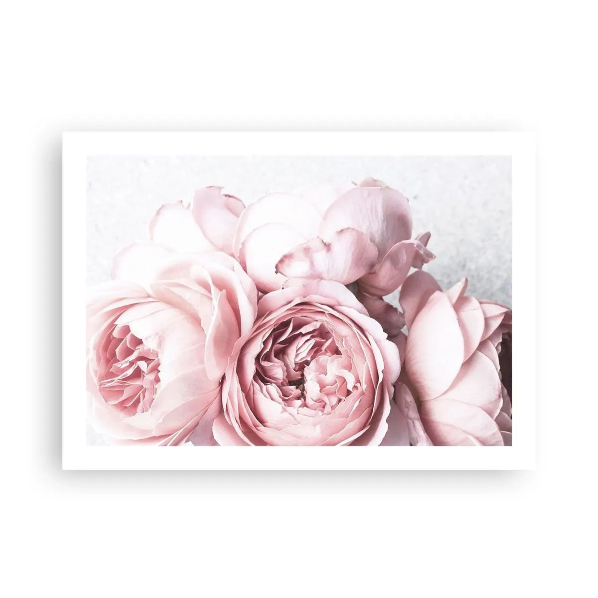 Plakat - For de romantiske - 70x50 cm