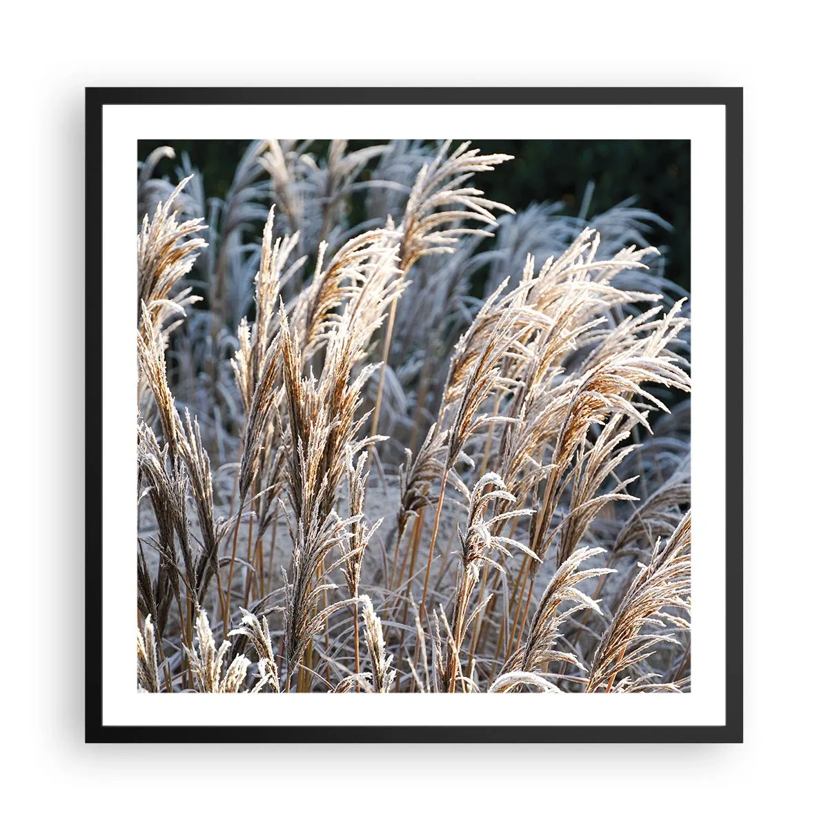 Plakat i sort ramme - Pyntet med frost - 60x60 cm