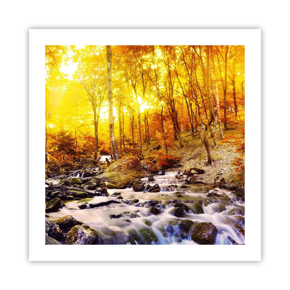 Plakat - Sten indfattet i guld og platin - 50x50 cm
