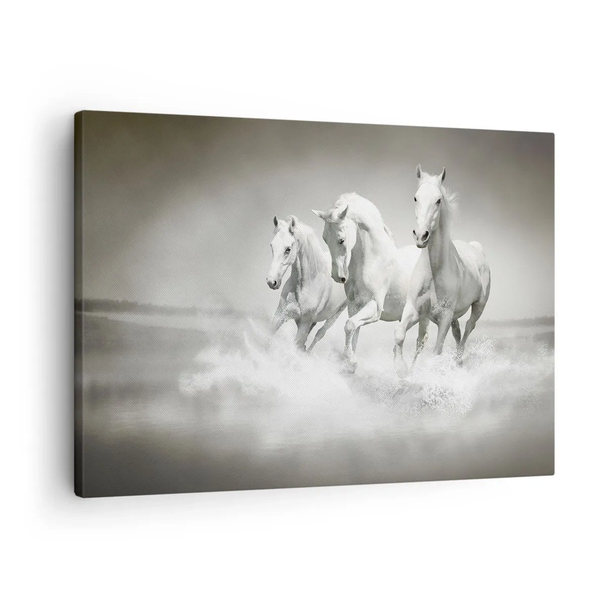 Lærredstryk - Billede på lærred - Tre hvide heste galoperer gennem vandet - 70x50cm - Hvid galskab - Moderne vægdekoration til stue og soveværelse ARTTOR