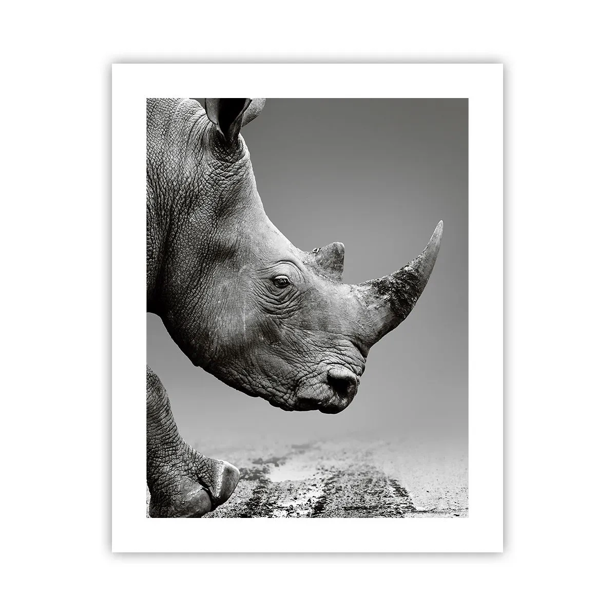 Plakat - En ustoppeli - 40x50 cm