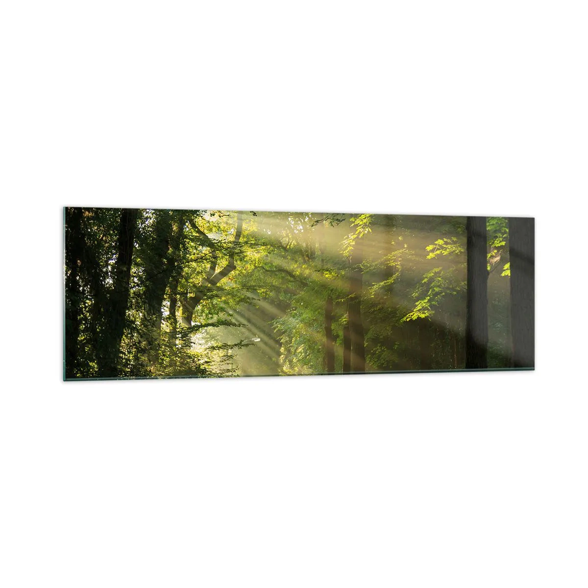 Billede på glas - Øjeblik i skoven - 160x50 cm