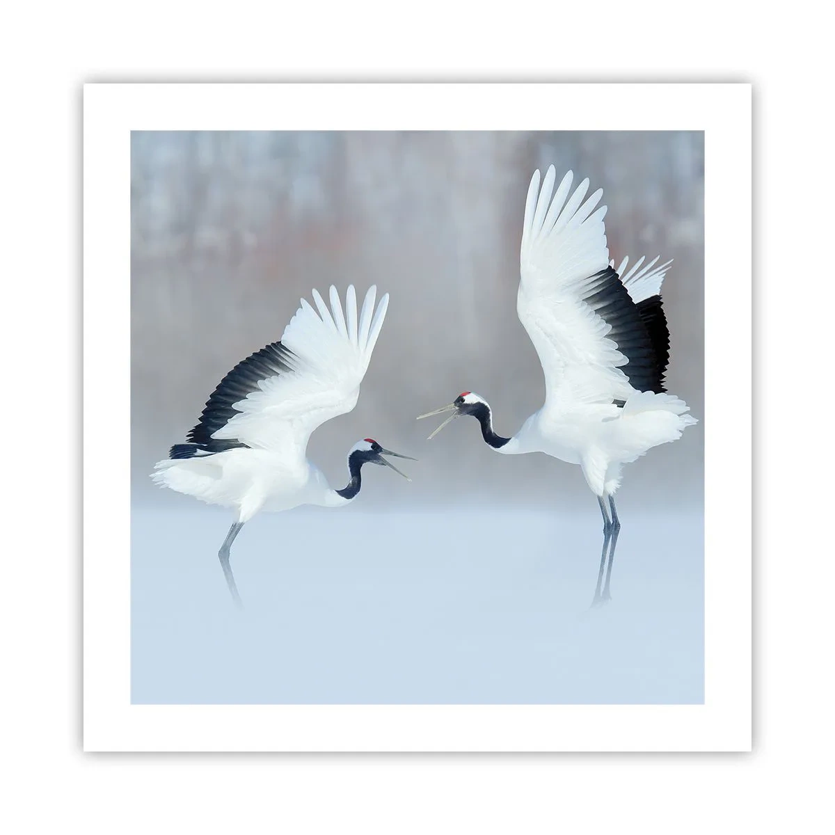 Plakat - Danser i tågen - 50x50 cm