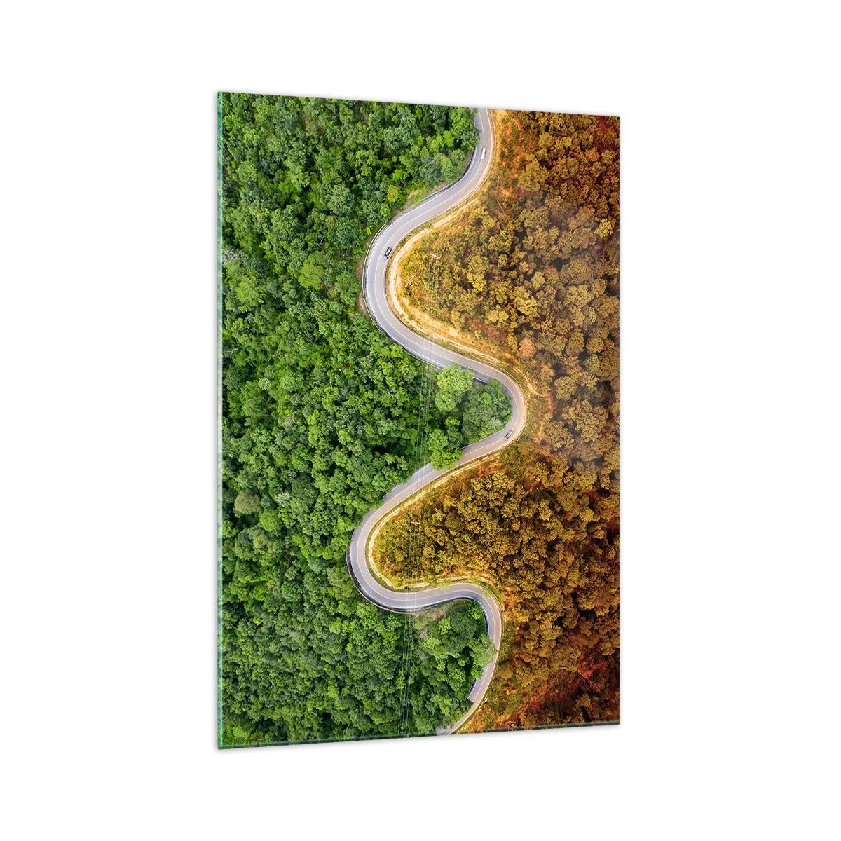 Billede på glas - Grænser og gennembrud - 70x100 cm