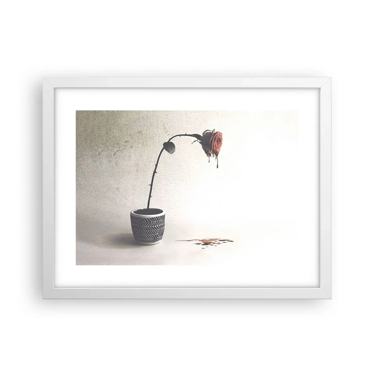 Plakat i hvid ramme - Rosa dolorosa - 40x30 cm
