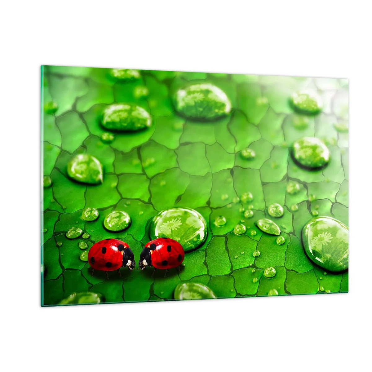 Billede på glas - Møde i det grønne - 120x80 cm