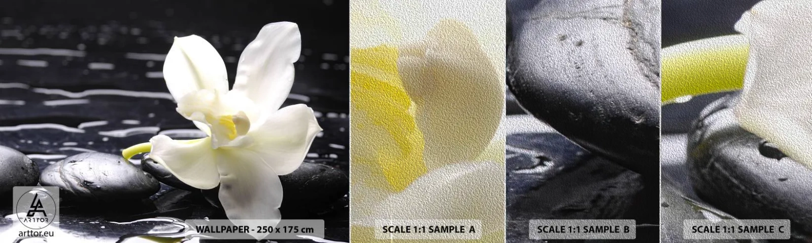 Prøve Fototapet Premium Sand - Studie i sort og hvidt - Blomster, Sten, Orkidé - 100x30 cm