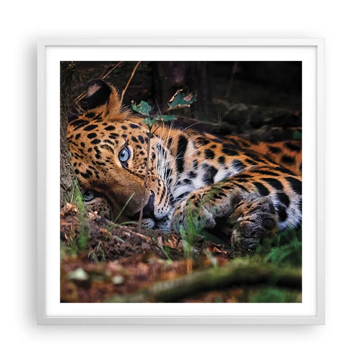 Plakat i hvid ramme - Stol på mig - 60x60 cm