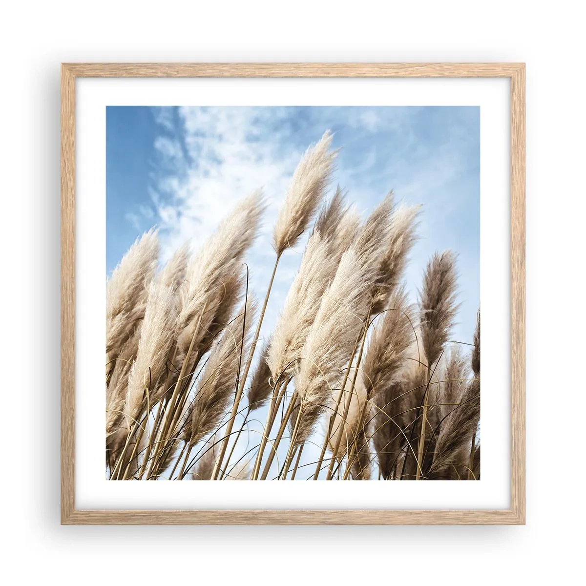 Plakat i ramme af lyst egetræ - Solrig og blæsende kærtegn - 50x50 cm