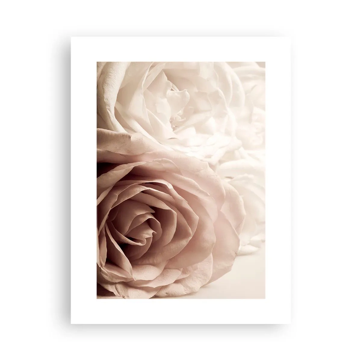 Plakat - I rosens hjerte - 30x40 cm