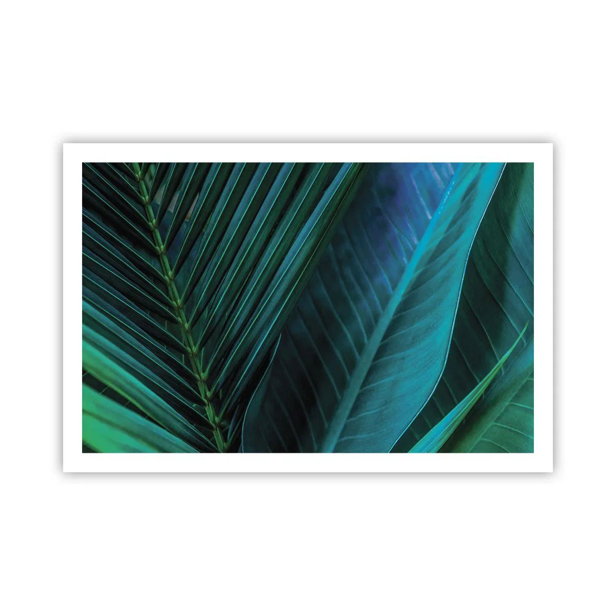 Plakat - Anatomi af en grøn - 91x61 cm