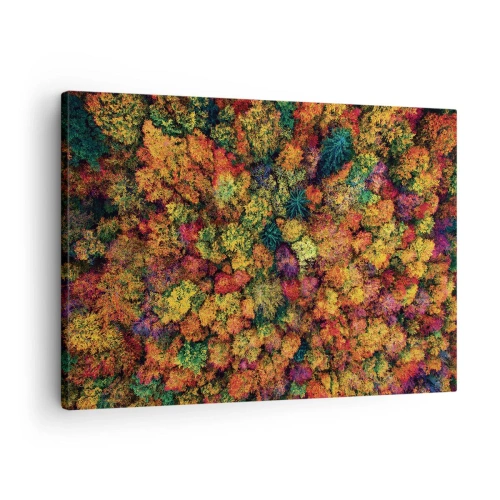 Lærredstryk - Billede på lærred - Farverige trækroner i efterårspaletten - 70x50cm - Buket af efterårstræer - Moderne vægdekoration til stue og soveværelse ARTTOR