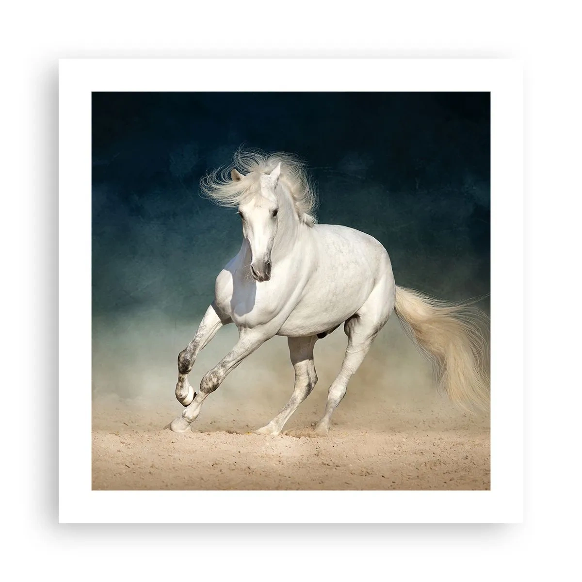 Plakat - Frihed i en ren tilstand - 50x50 cm