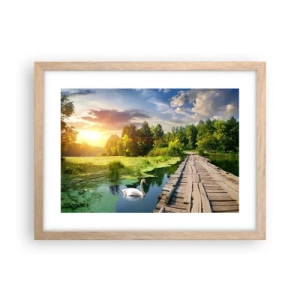 Plakat i ramme af lyst egetræ - Sommer, sommer overalt - 40x30 cm