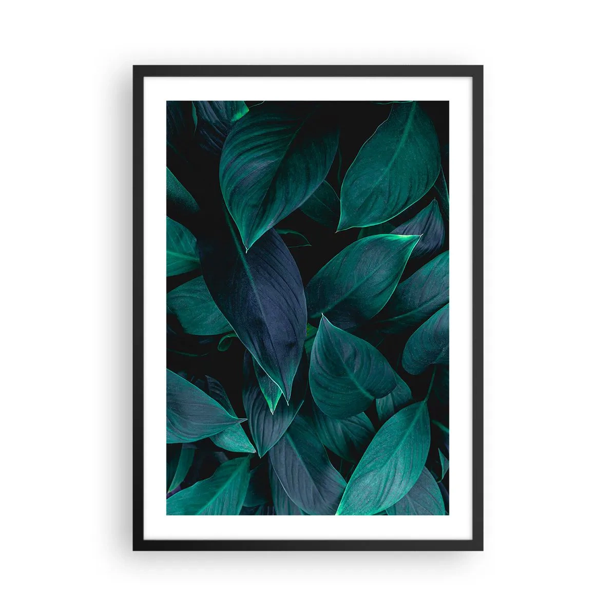 Plakat i sort ramme - Mørkegrønne blade med diskret baggrundsbelysning - 50x70cm - Grønt i sig selv - Moderne vægdekoration til stue og soveværelse ARTTOR