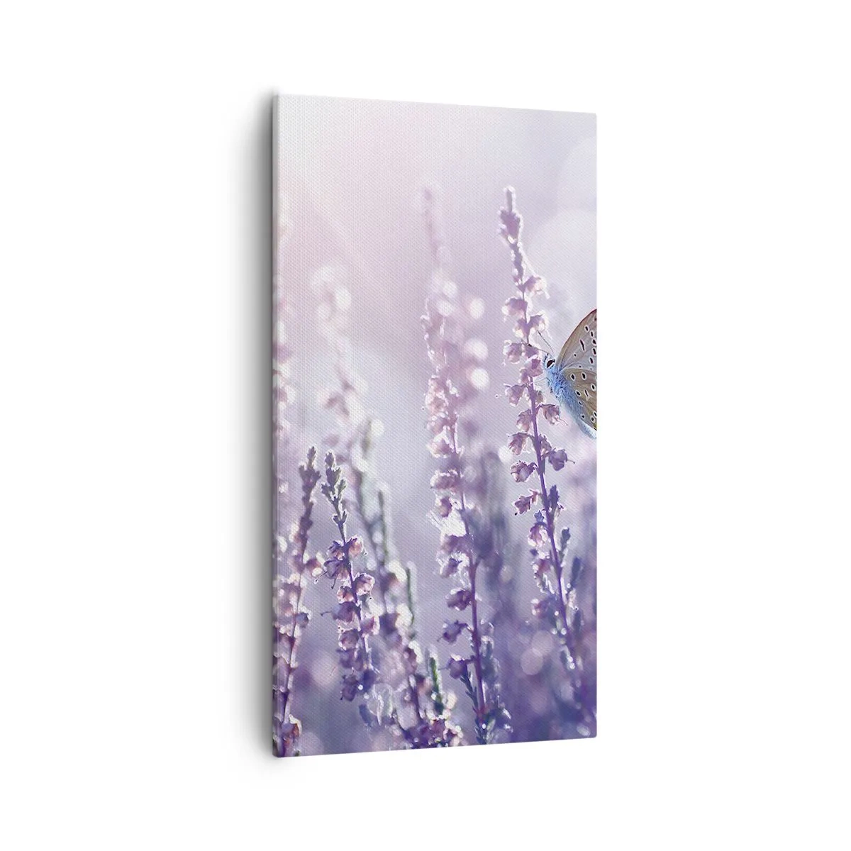 Lærredstryk - Billede på lærred - Sommerfuglekys - 55x100 cm