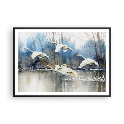 Plakat i sort ramme - Som i en fortælling om vilde svaner - 100x70 cm