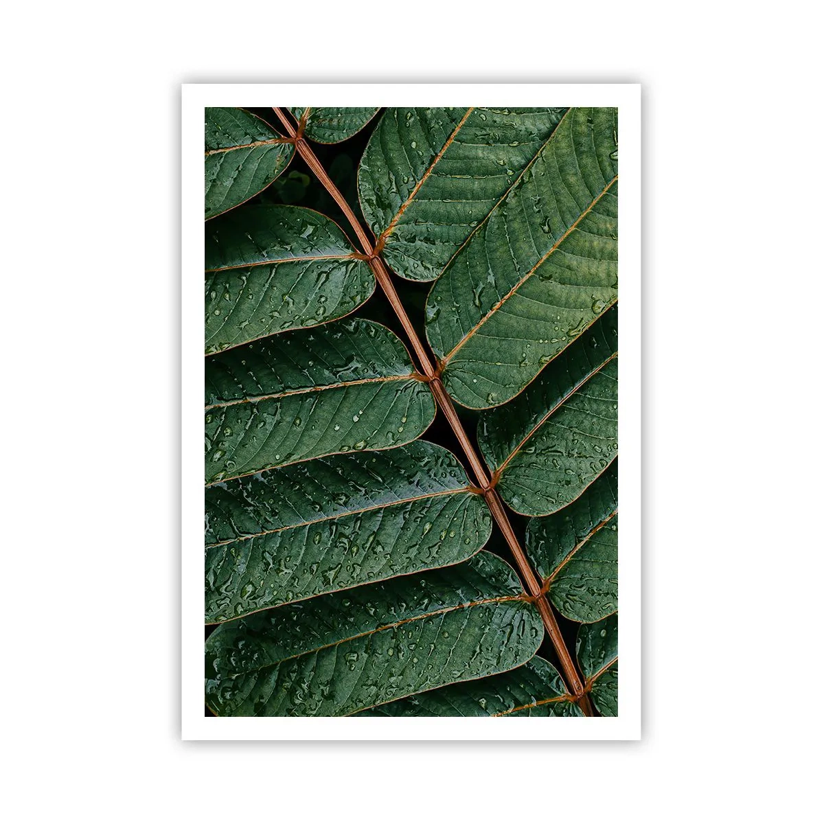 Plakat - I en grøn rytme - 70x100 cm