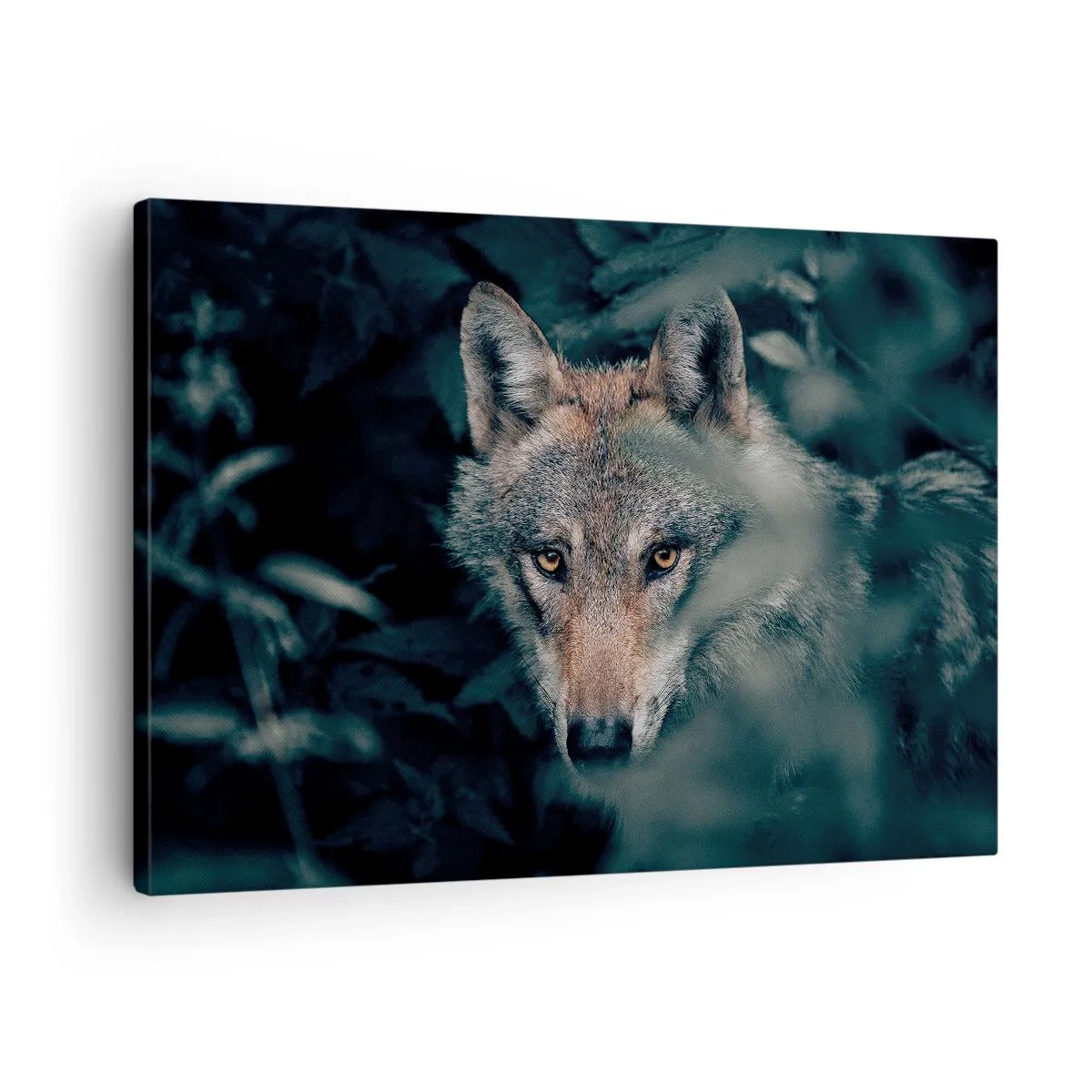 Lærredstryk - Billede på lærred - En ulv i sine naturlige omgivelser, der kigger ud fra skovens dyb. - 70x50cm - Jæger - Moderne vægdekoration til stue og soveværelse ARTTOR