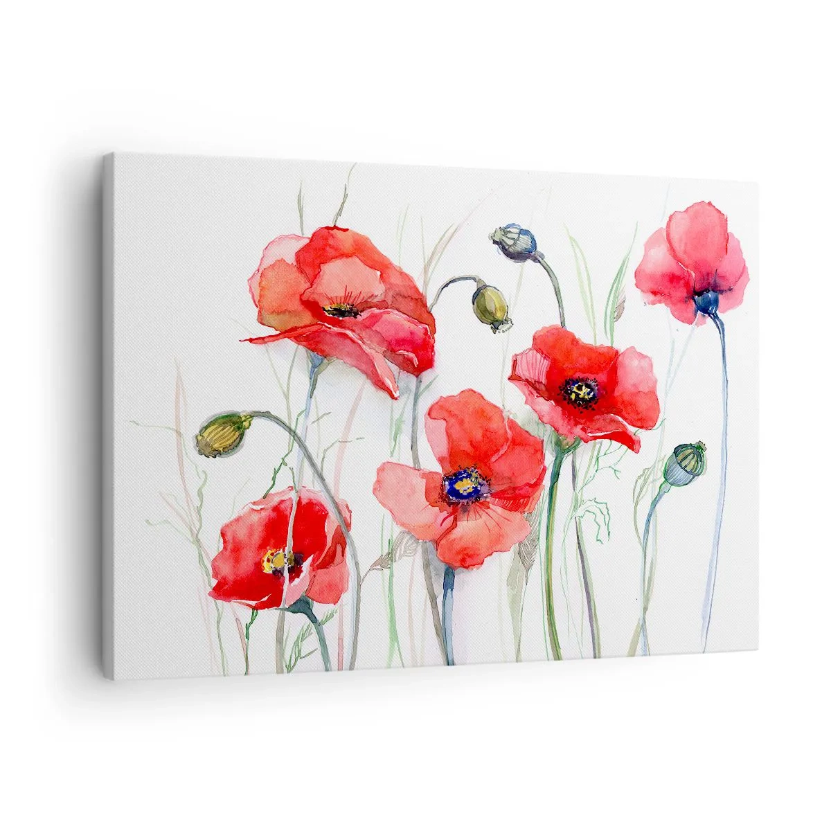 Lærredstryk - Billede på lærred - Akvarelvalmuer på en delikat baggrund - 70x50cm - Polske blomster - Moderne vægdekoration til stue og soveværelse ARTTOR