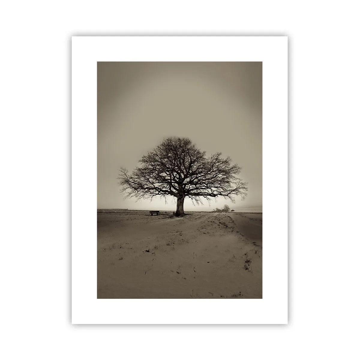 Plakat - Herfra og til evigheden - 30x40 cm