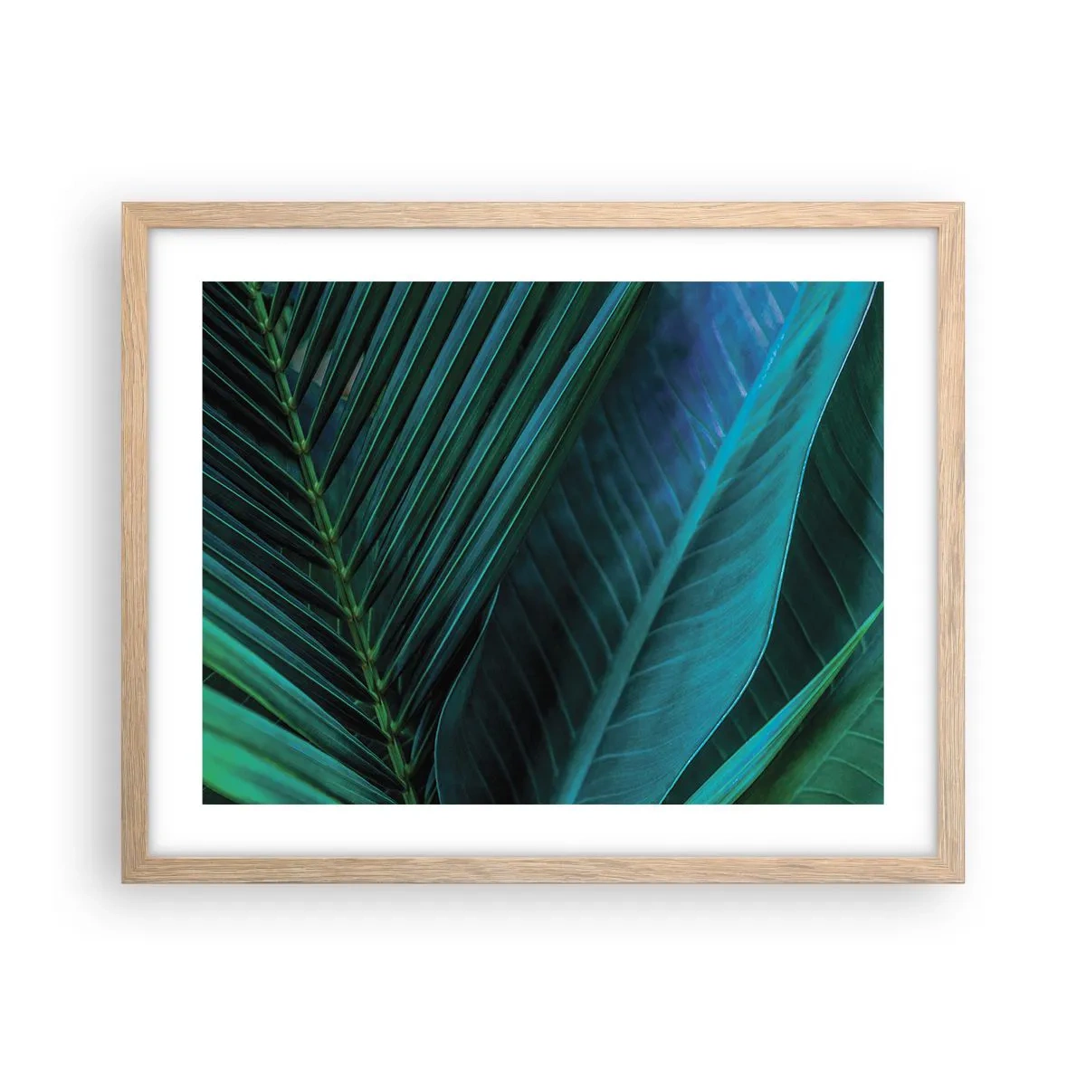 Plakat i ramme af lyst egetræ - Anatomi af en grøn - 50x40 cm