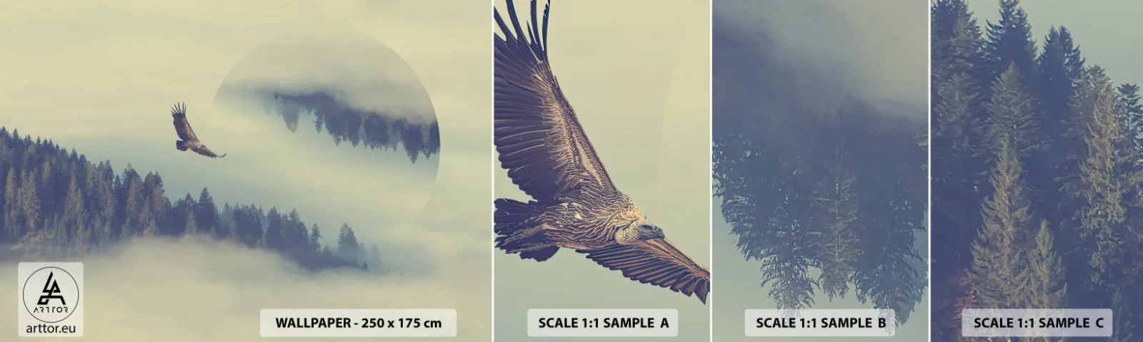 Fototapet Prøve Standard Eco - Jeg så en ørnes skygge - Ørn, Fugl, Skov - 100x30 cm