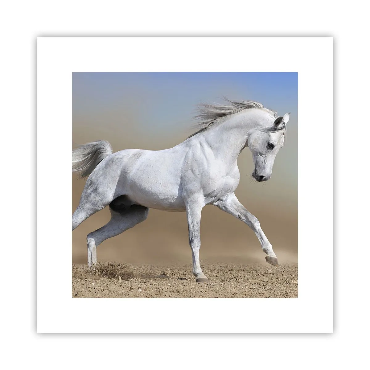 Plakat - Den smukkeste arabiske fortælling - 30x30 cm