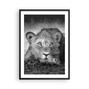 Plakat i sort ramme - En ung løve i monokromatiske toner - 50x70cm - Kongelig hvalp - Moderne vægdekoration til stue og soveværelse ARTTOR