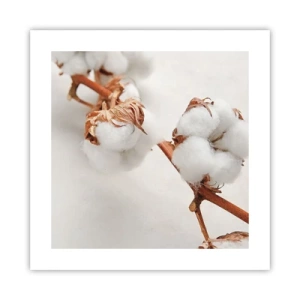 Plakat - Bare kramme - 40x40 cm