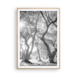 Plakat i ramme af lyst egetræ - I en olivenlund - 70x100 cm