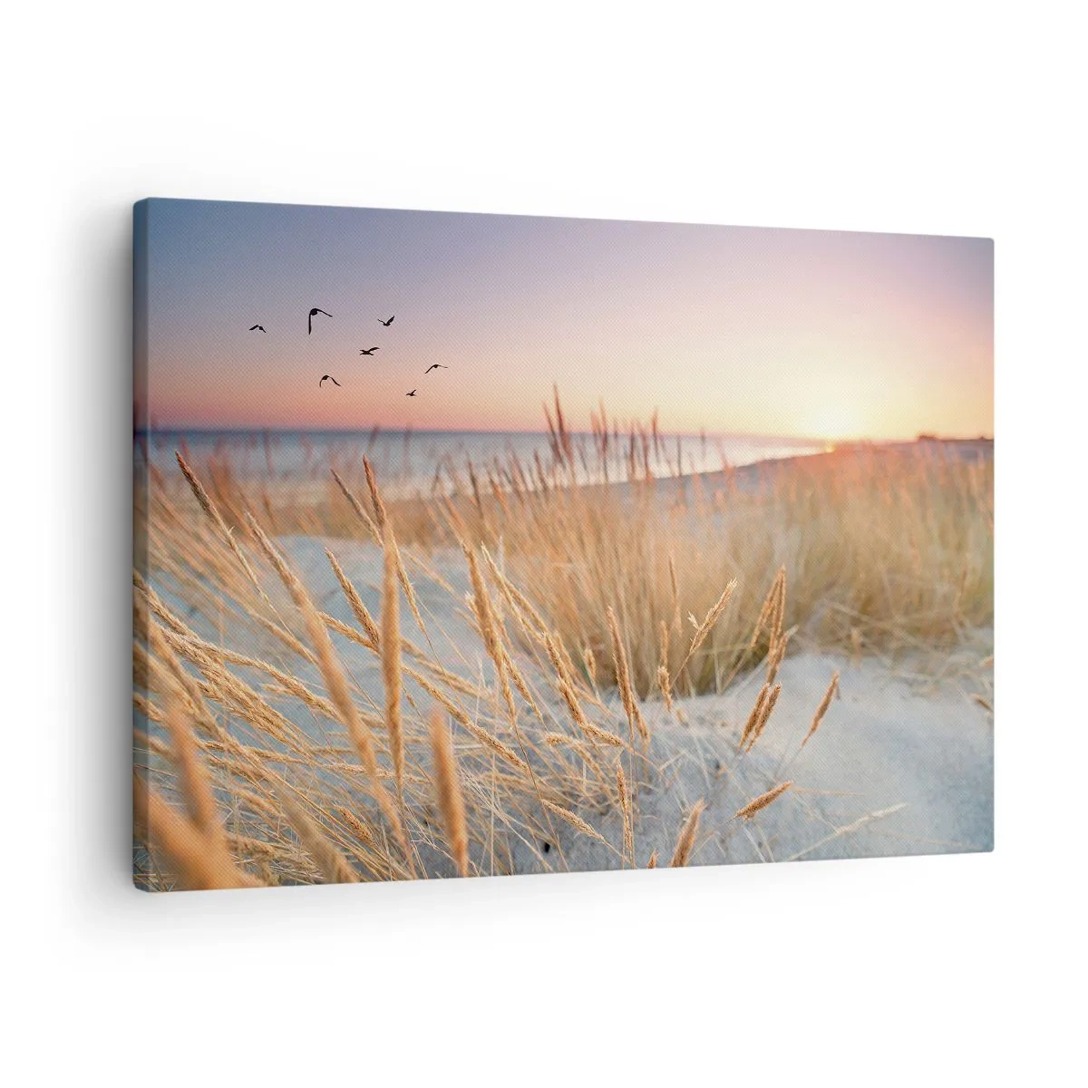 Lærredstryk - Billede på lærred - Solnedgangsstrand med højt græs - 70x50cm - Baltisk vuggevise - Moderne vægdekoration til stue og soveværelse ARTTOR