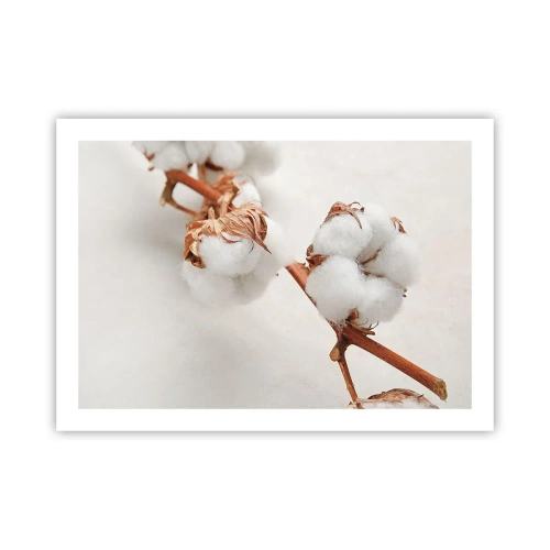 Plakat - Bare kramme - 70x50 cm