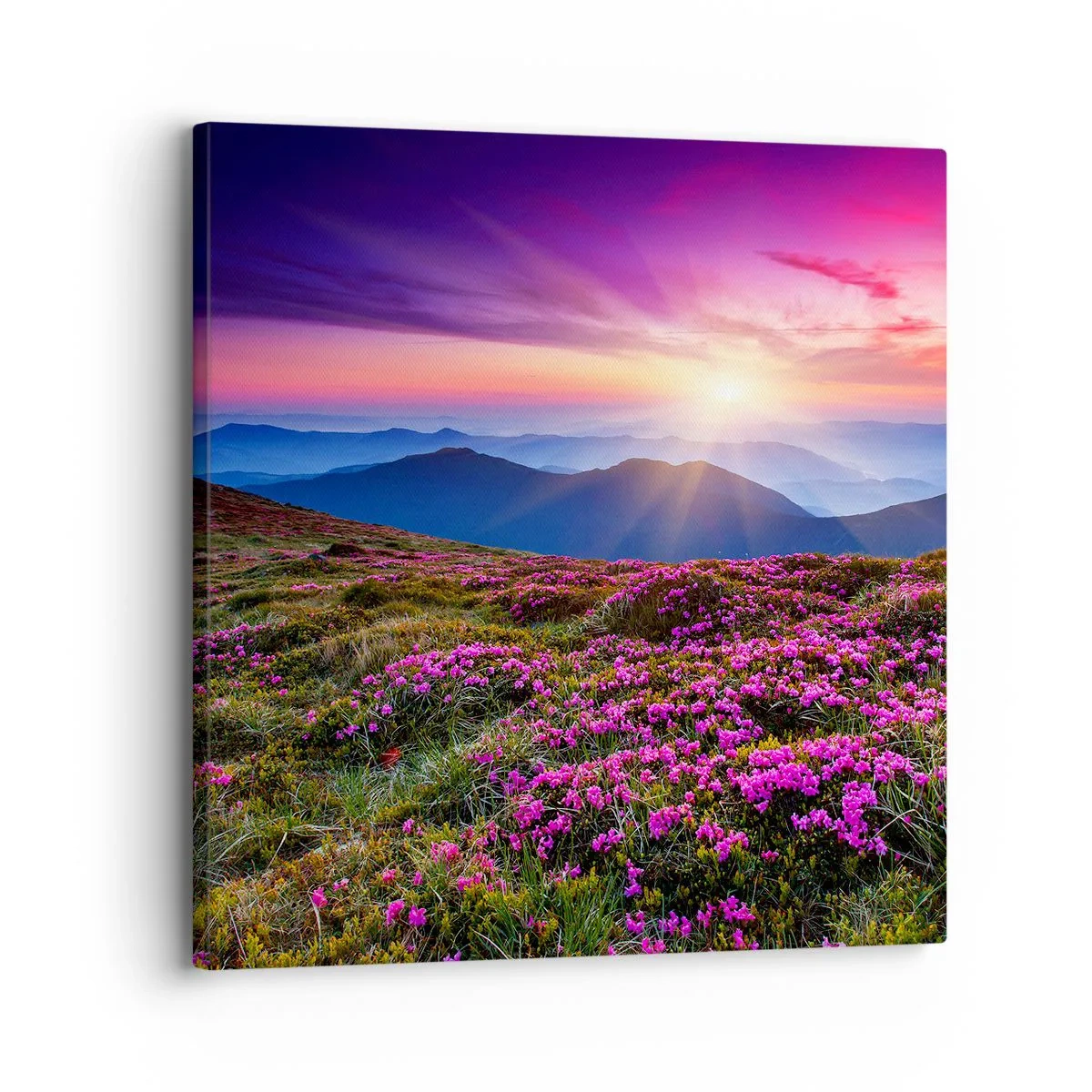 Lærredstryk - Billede på lærred - Urter duftede friske bundter fra niw - 30x30 cm