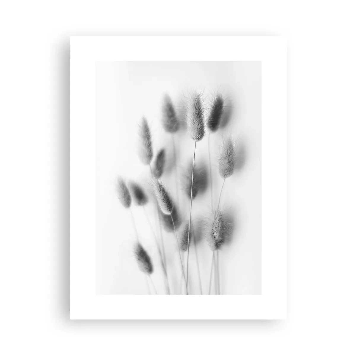 Plakat - Dens bløde græs - 30x40 cm