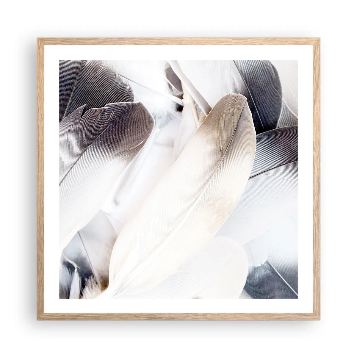 Plakat i ramme af lyst egetræ - Næsten engleagtig - 60x60 cm