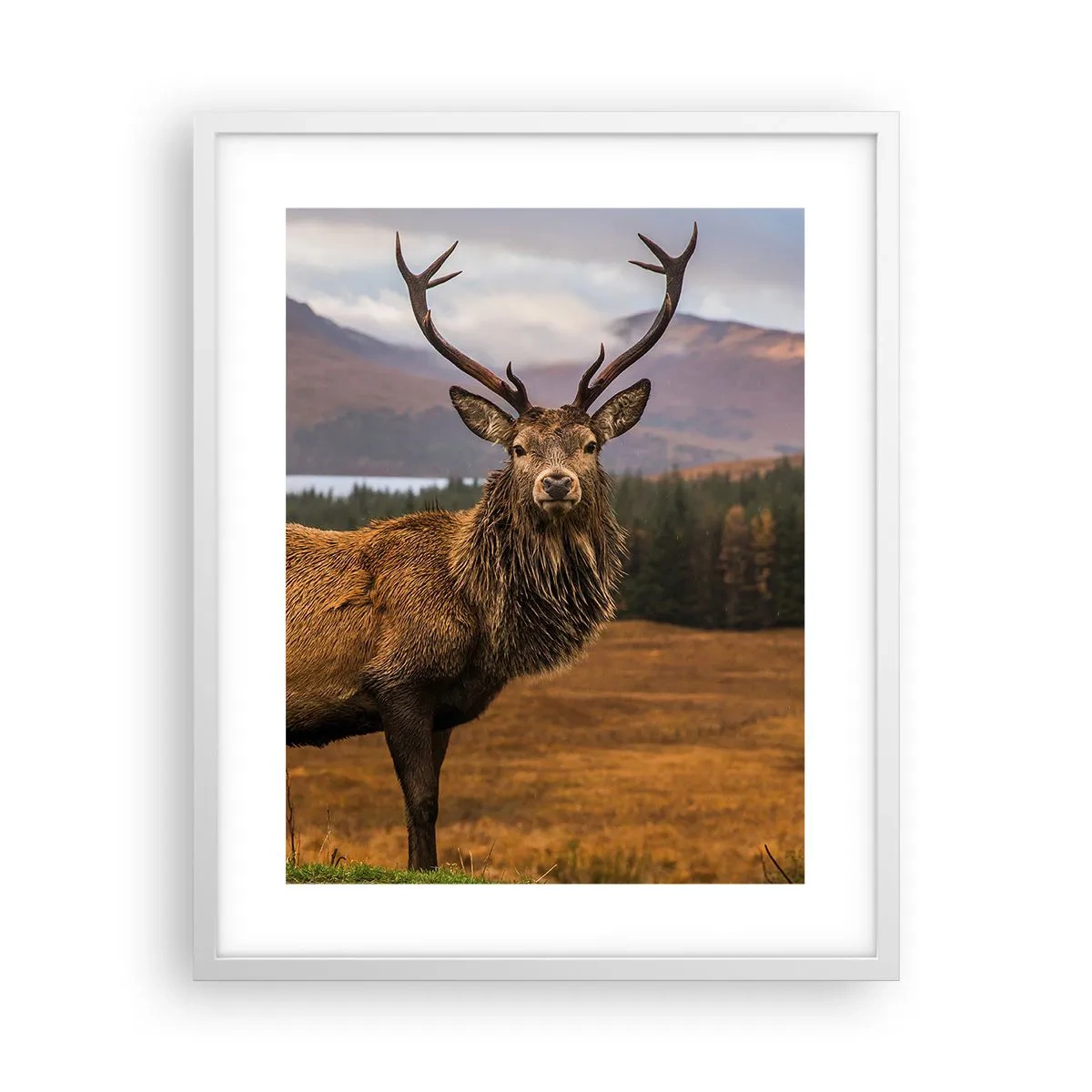 Plakat i hvid ramme - Naturens majestæt - 40x50 cm